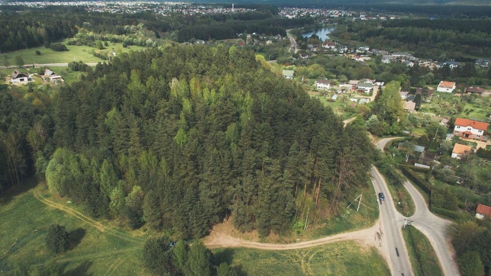 Staviškių piliakalnis #3