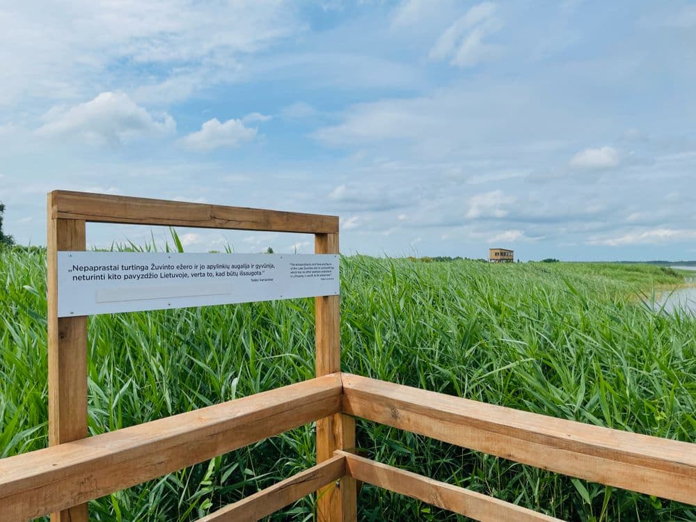 Žuvinto ežero gamtos takas #5