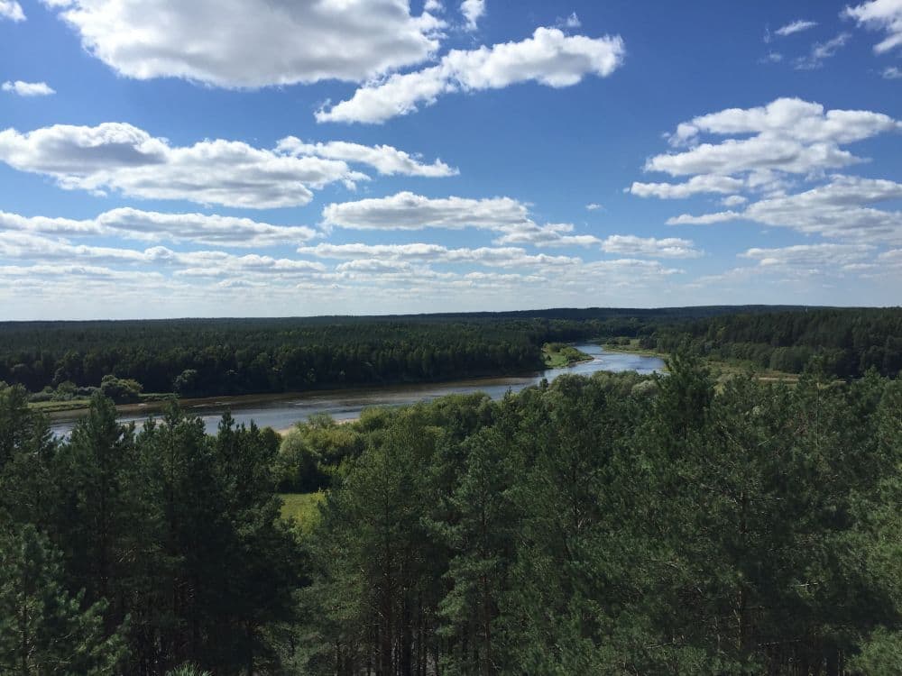 Merkinės apžvalgos bokštas #3