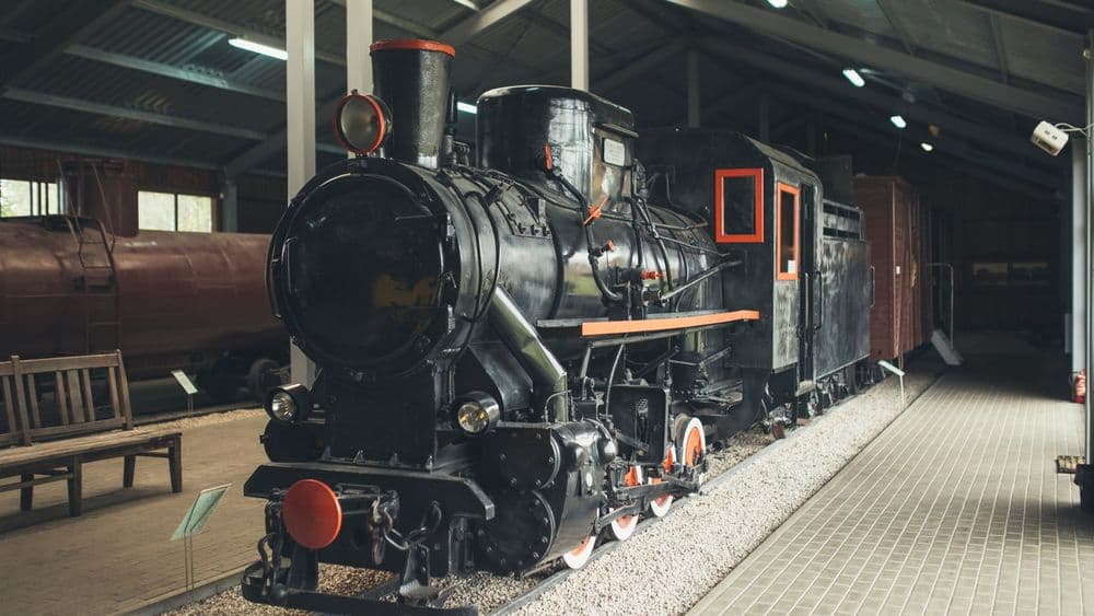 Siauruko muziejus ir kelionės Siauruku #3