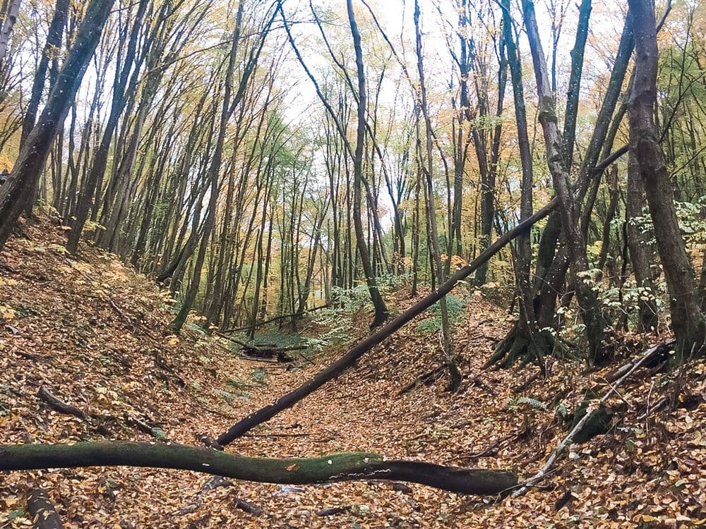 Jaučakių piliakalnis (Kartuvių kalnas) #3