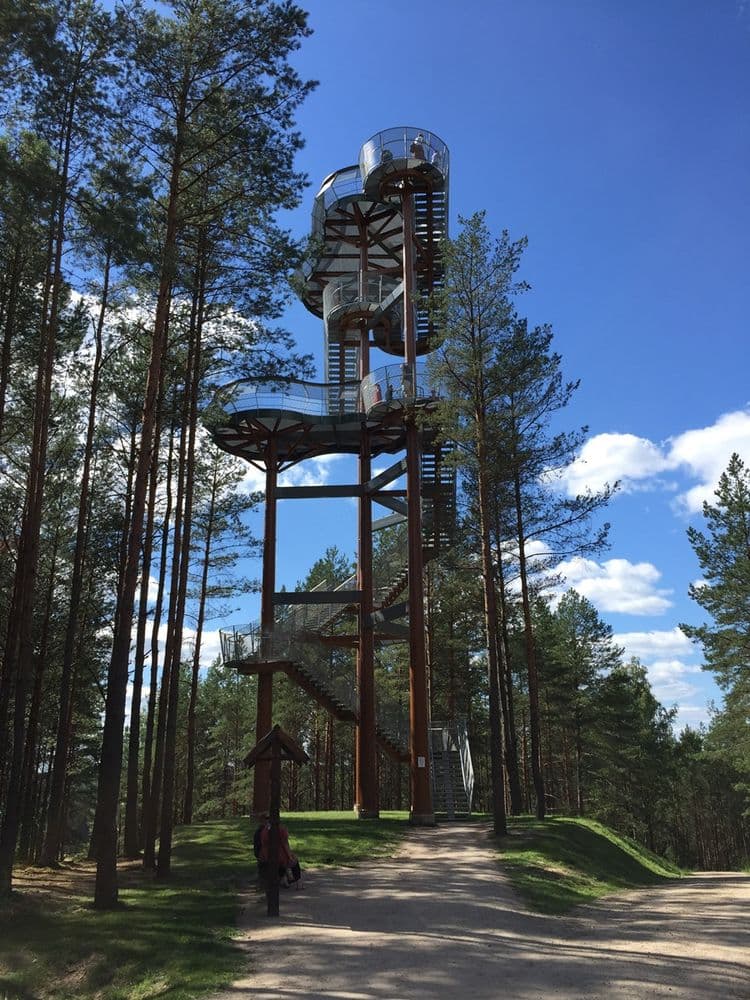 Merkinės apžvalgos bokštas