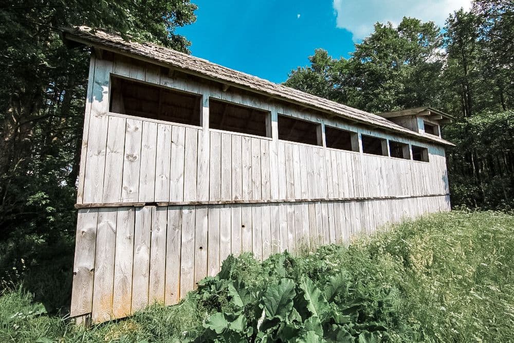 Plazės ežero paukščių stebėjimo namelis #2