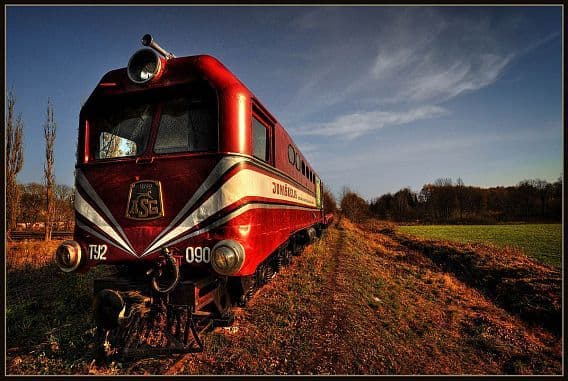 Joniškėlio siaurukas