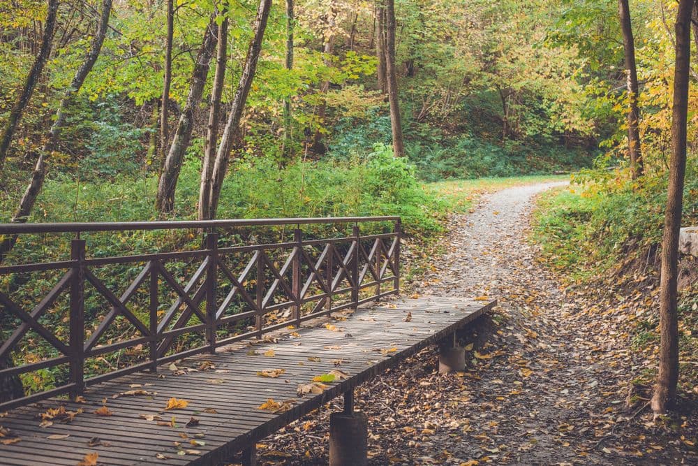 Karoliniškių draustinio pažintiniai takai