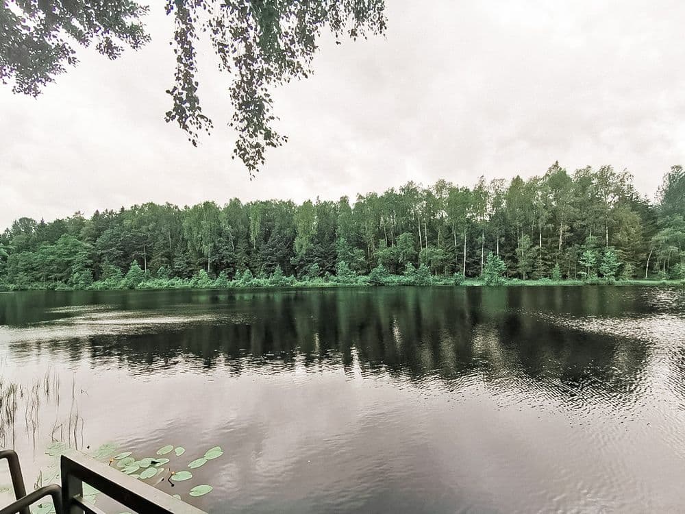 Takas aplink Ilgio ežerą #5