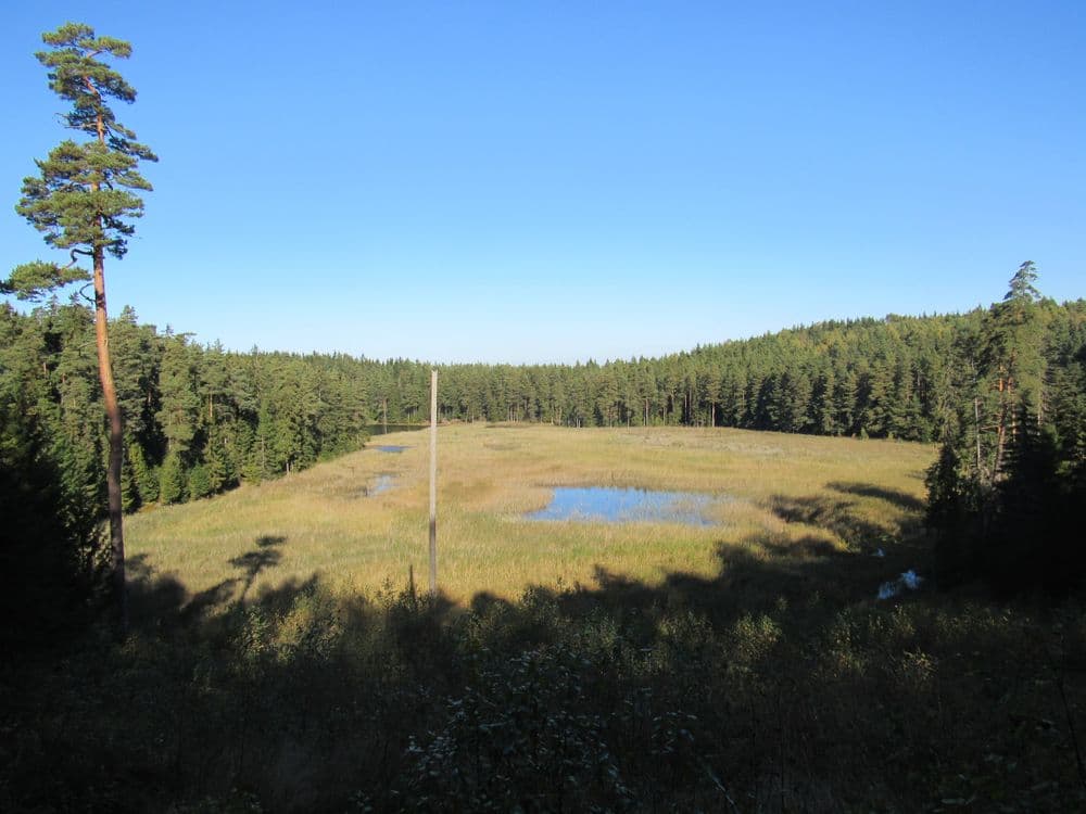 Paplatelės takas