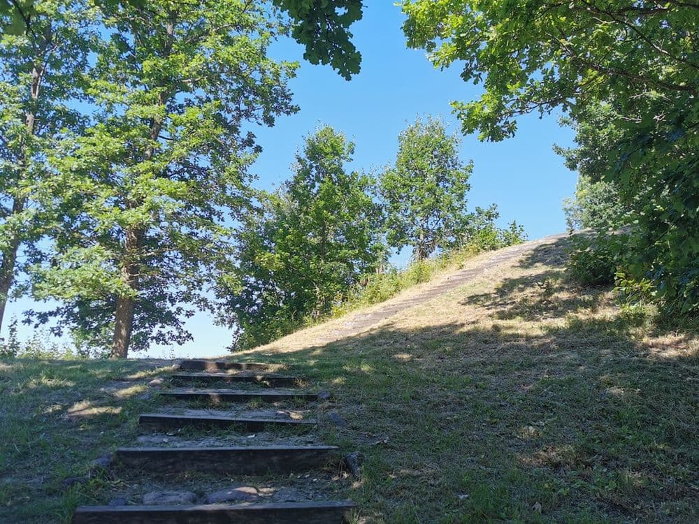 Lopaičių pažintinis takas #5