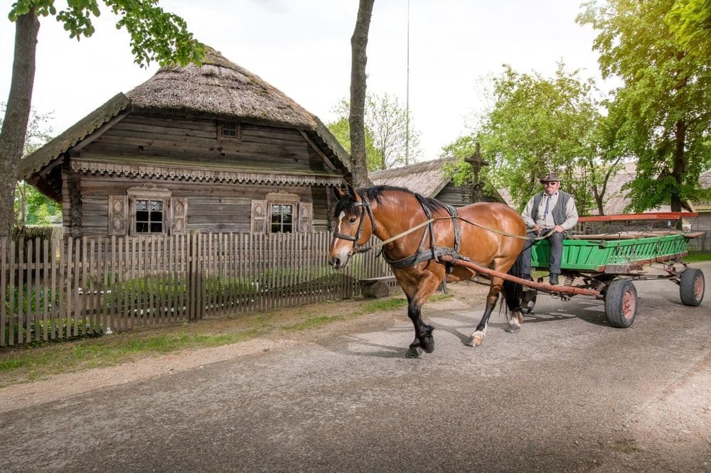 Lietuvos liaudies buities muziejus Rumšiškėse #3