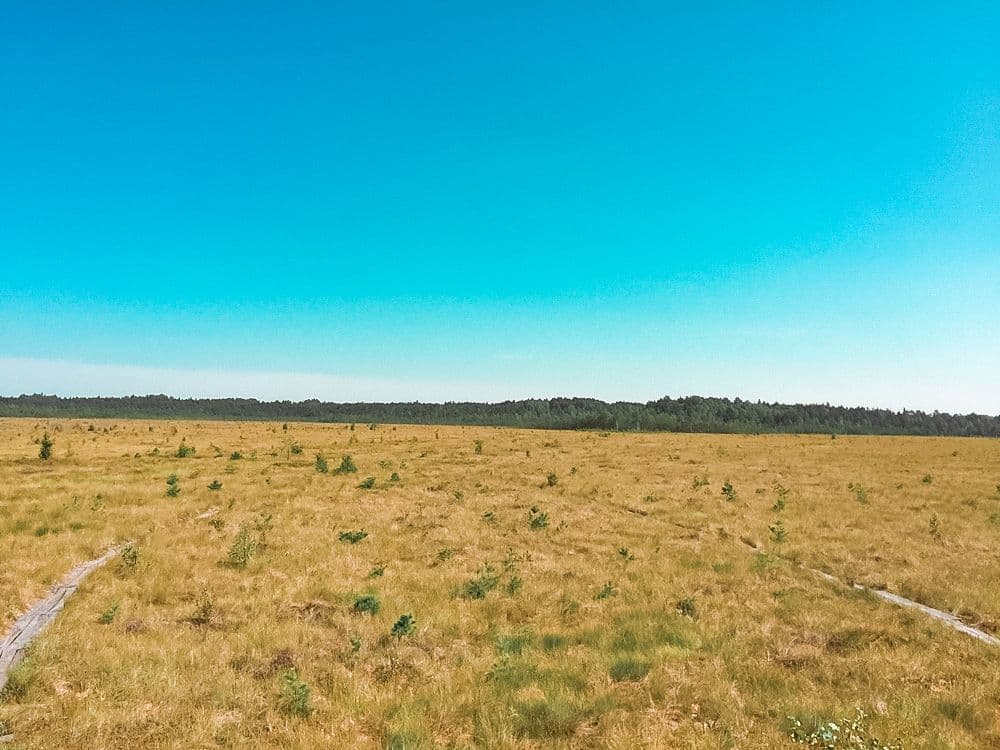 Plynosios pažintinis takas #3