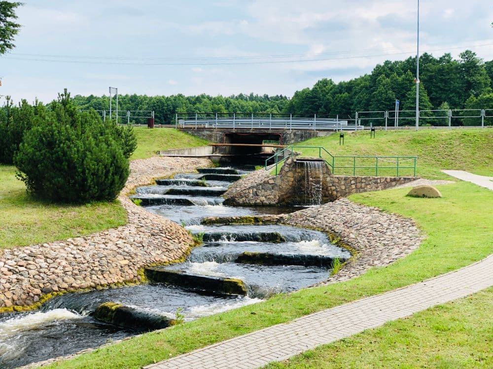 Viešvilės žuvitakis