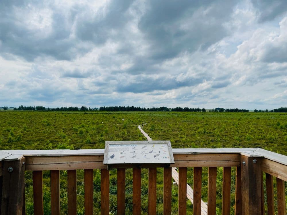 Amalvos pelkės pažintinis takas #2