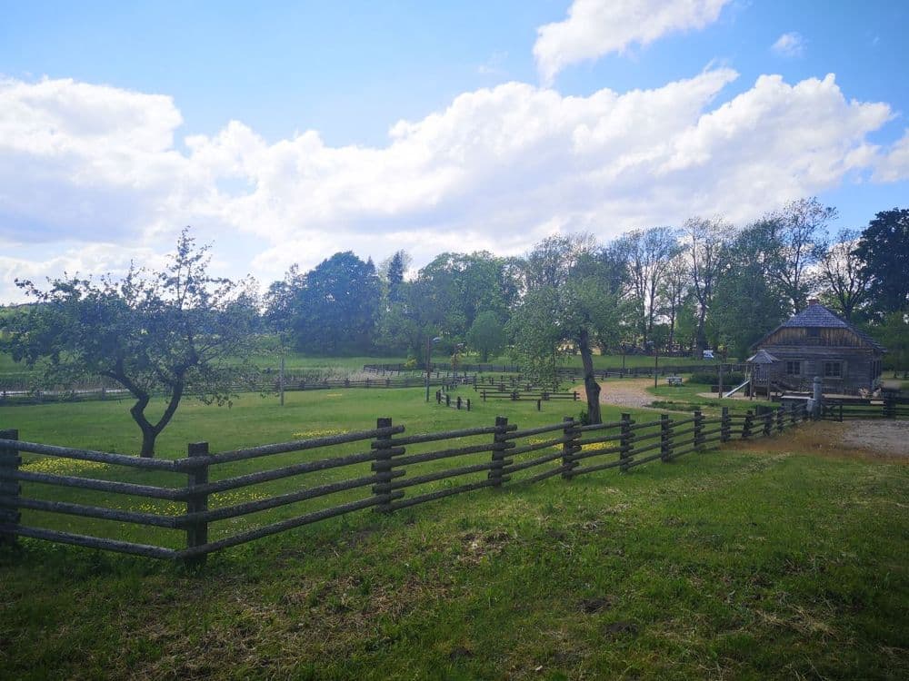 Kurtuvos pažintinis takas #3