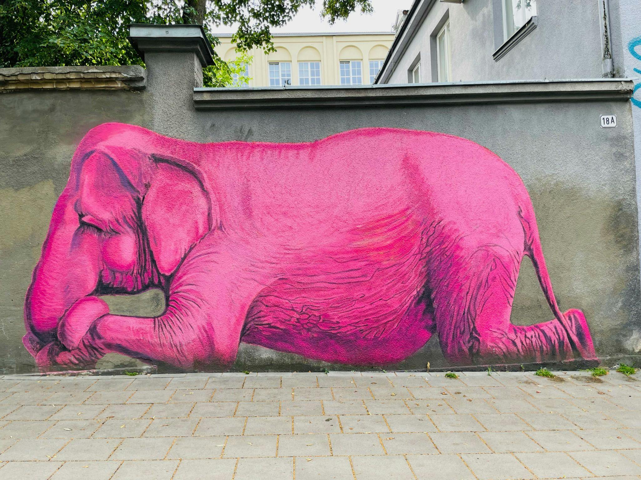 Grafitis „Rožinis dramblys"