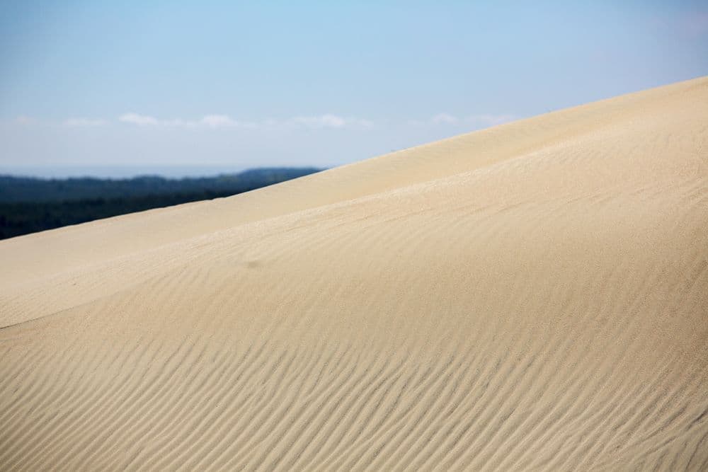 Naglių gamtinio rezervato pažintinis takas #3