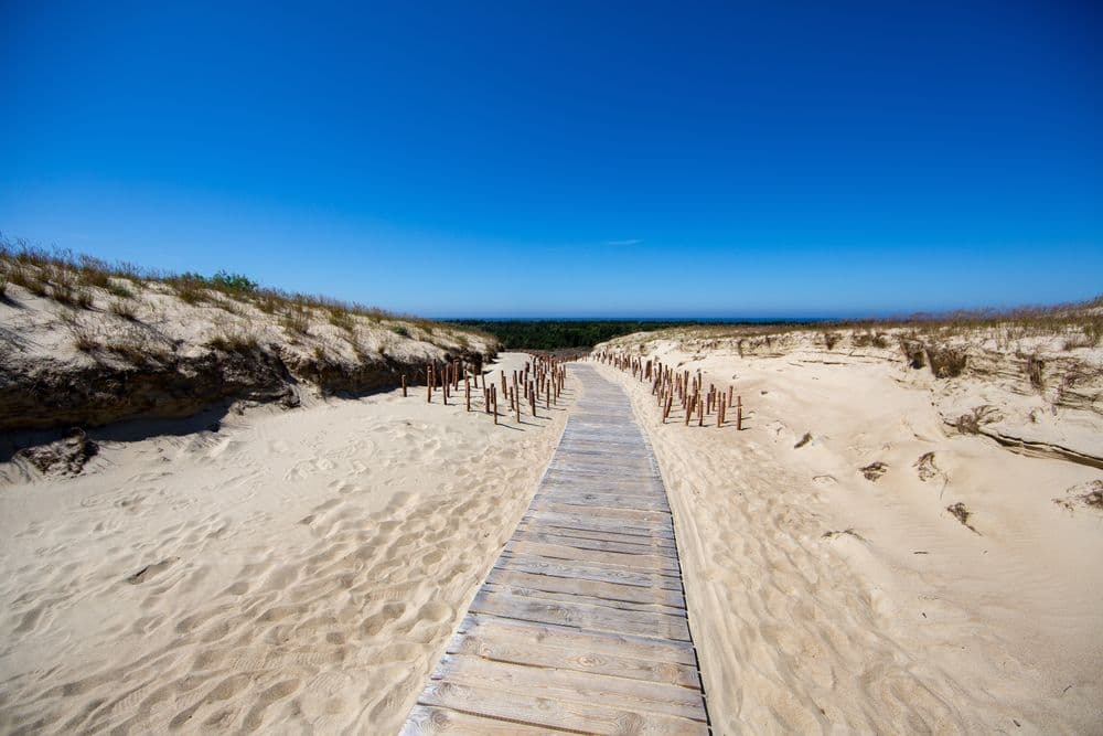 Naglių gamtinio rezervato pažintinis takas