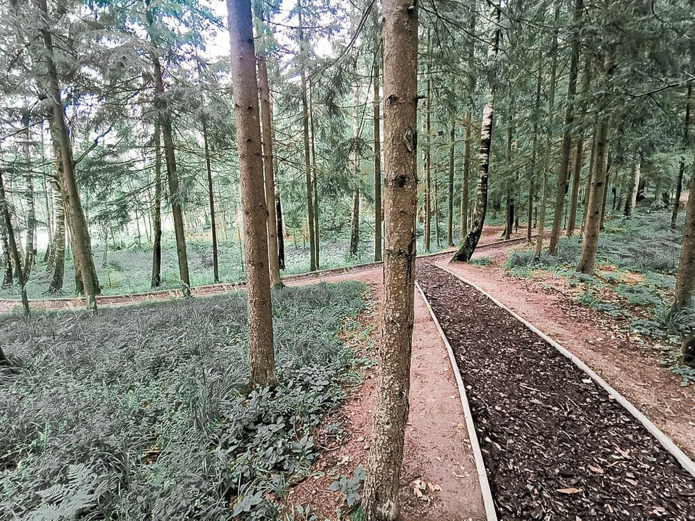 Takas aplink Ilgio ežerą #3