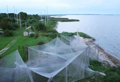 Ventės rago (T. Ivanausko) ornitologinė stotis #2