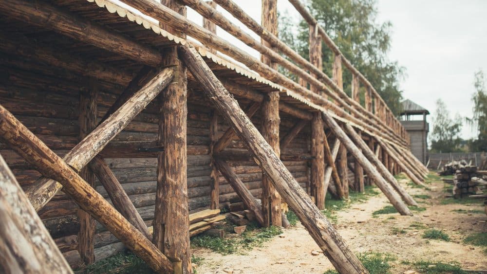 Šeimyniškėlių (Vorutos) piliakalnis #2