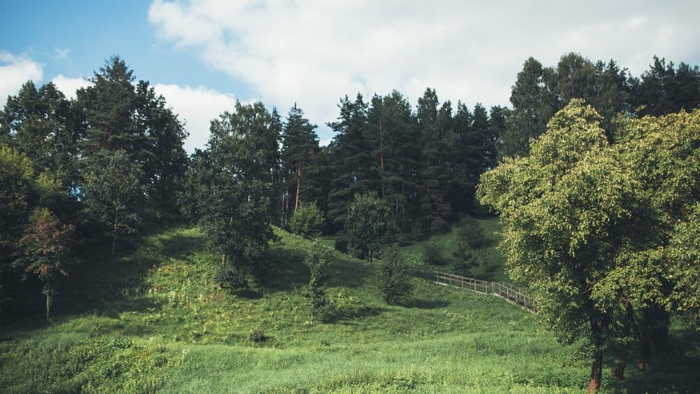 Naujosios Vilnios pilkapynas