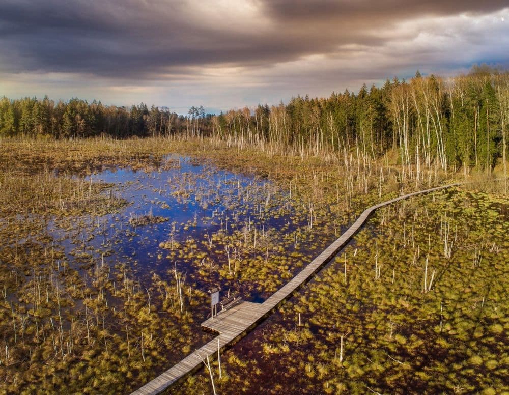 Dubravos rezervatinė apyrubė #3