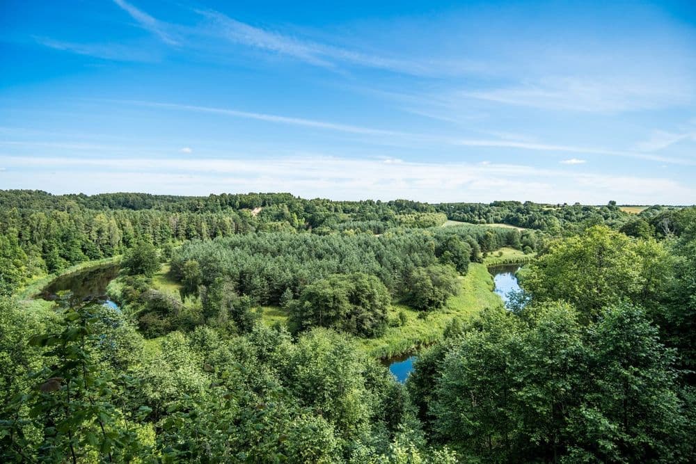 Šilpelkės pažintinis pėsčiųjų takas