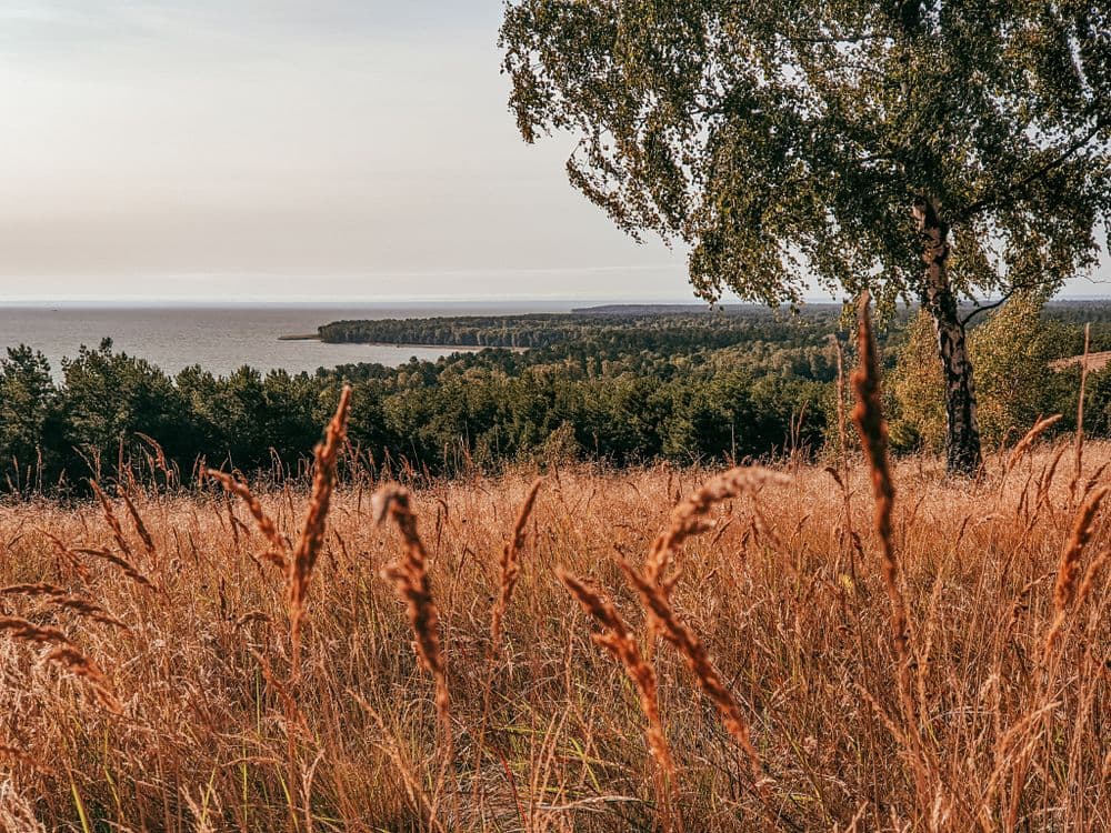 Preilos (Menininkų) kopa #3