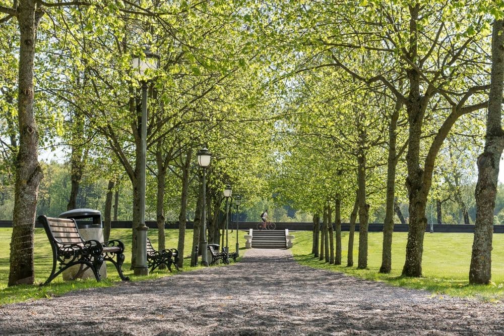 Birštono Vytauto parkas