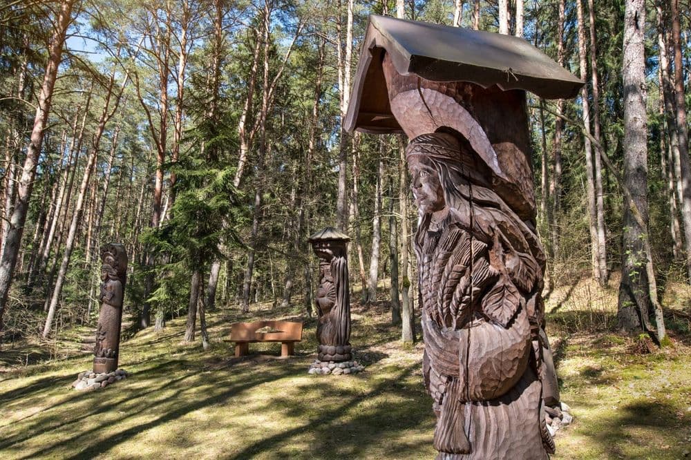 Kulautuvos pėsčiųjų takai #3