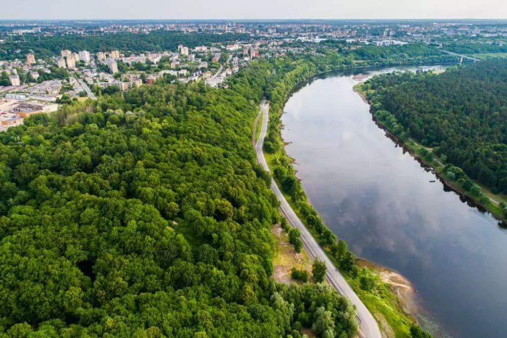 Aukštųjų Šančių piliakalnis #3