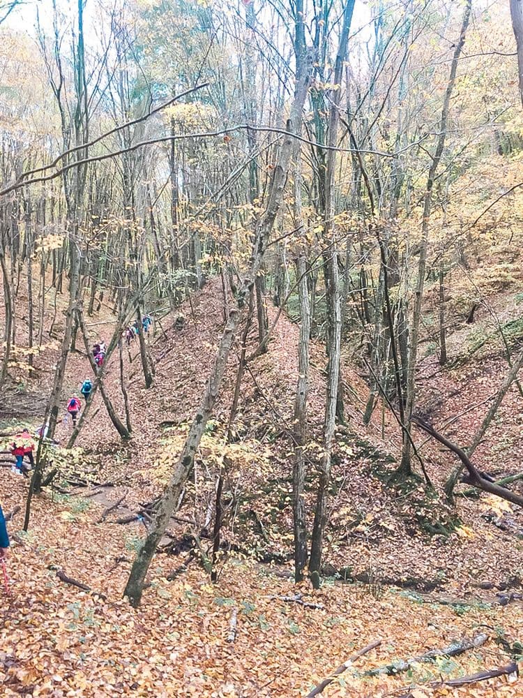 Jaučakių piliakalnis (Kartuvių kalnas) #2