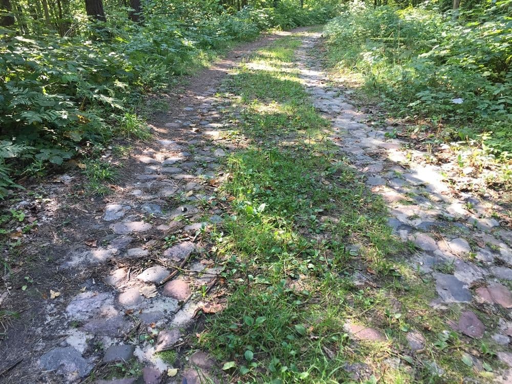 Senasis Vilniaus - Kauno traktas #3