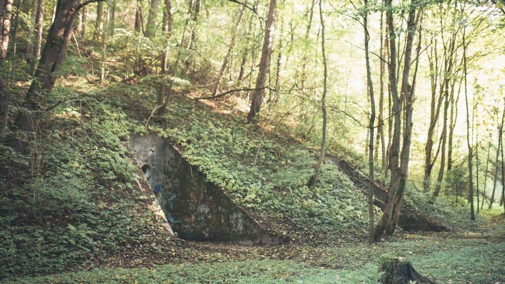 Antakalnio gynybiniai įtvirtinimiai