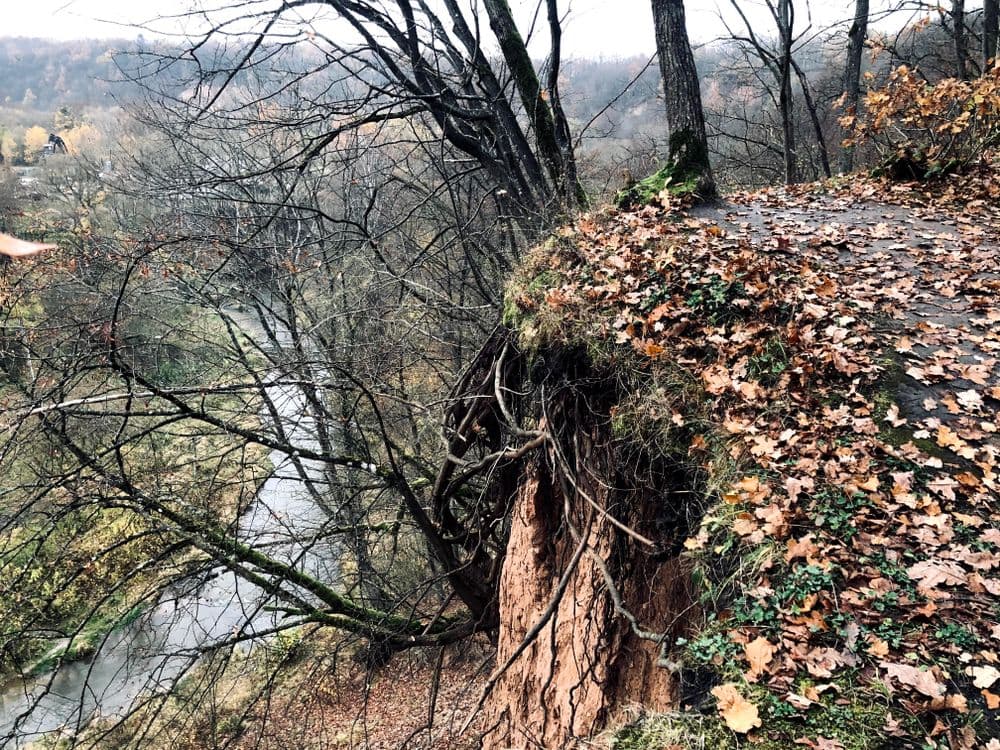 Jiesios pažintinis takas #5