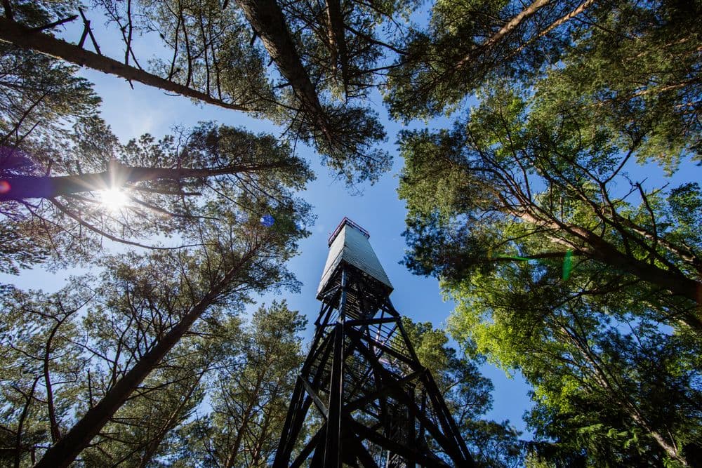 Juodkrantės švyturys