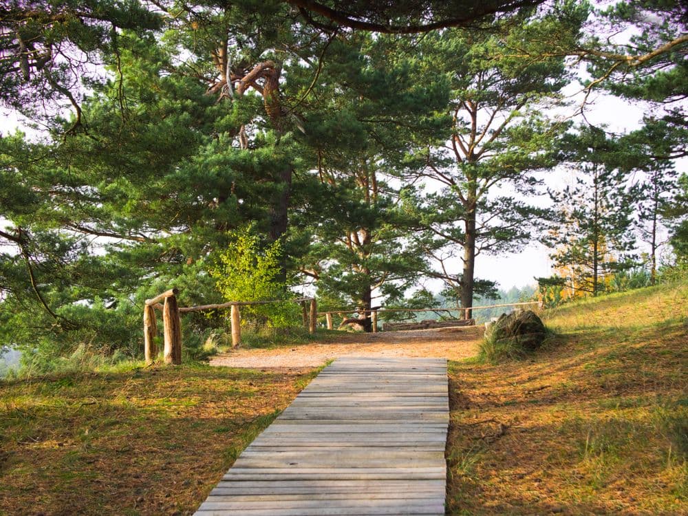 Avino kalnas (Avikalnis) #3