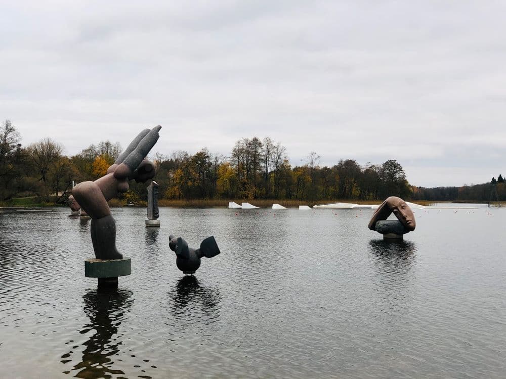 Akmens skulptūrų parkas „Vilnoja“ #4