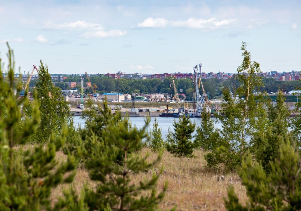 Meškos galvos kopa #3