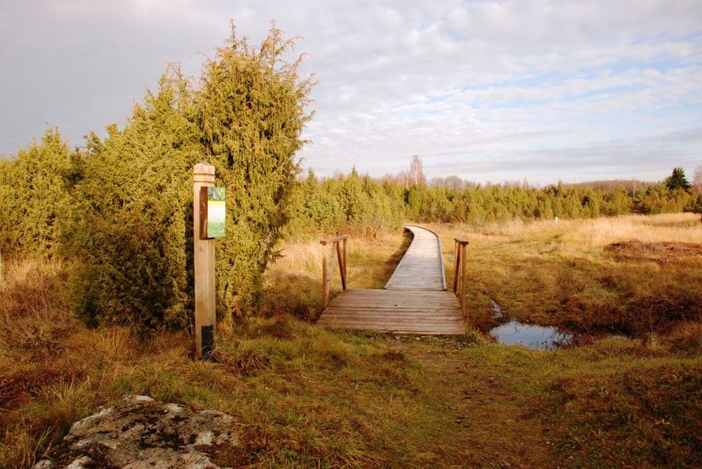 Pažintinis gamtos takas Šauklių riedulyne #2