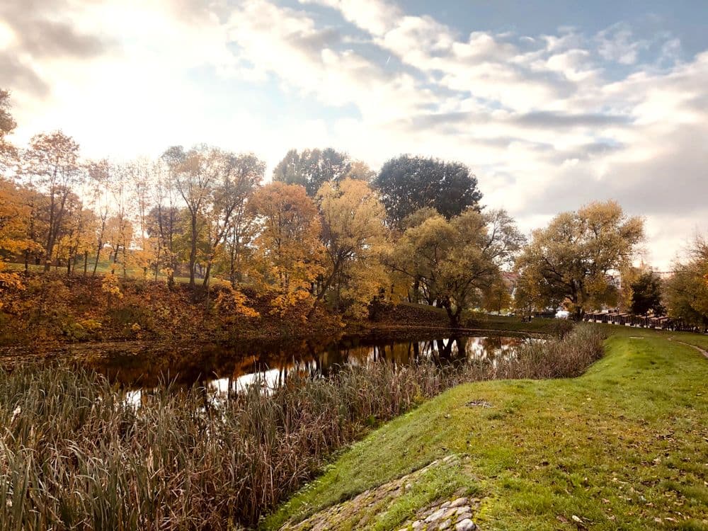 Kūdrų parkas (Misionierių sodai) #2