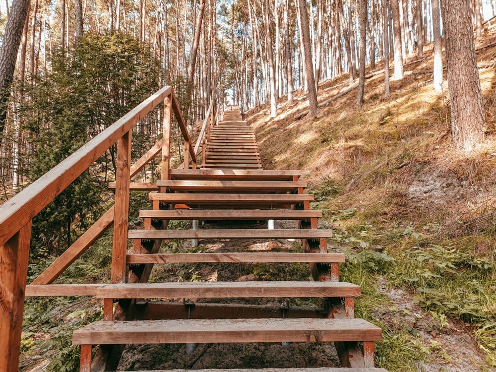 Preilos (Menininkų) kopa #2