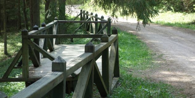 Žaliasis pažintinis pėsčiųjų takas #2