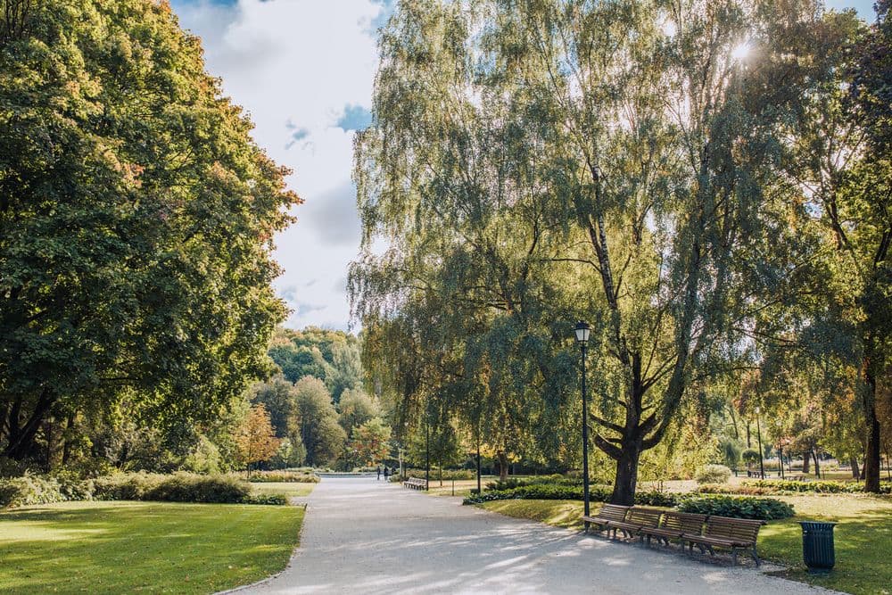 Vilniaus Bernardinų sodas #2