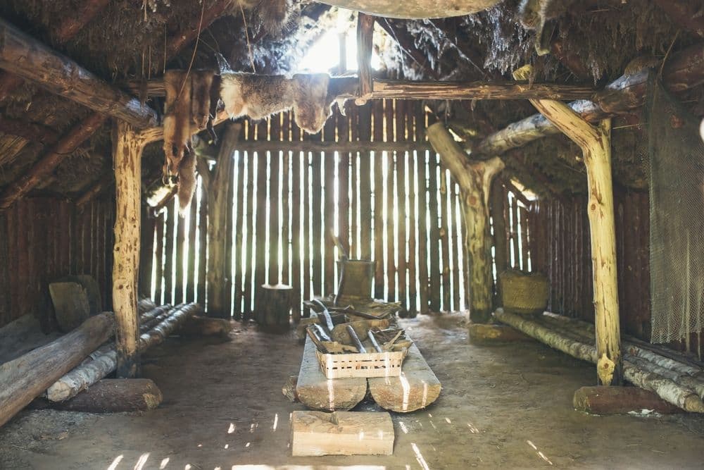 Pilkapio ekspozicija ir akmens amžiaus būstas Palūšėje #3