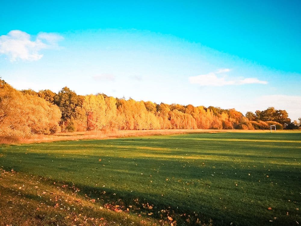 Gelgaudiškio pažintinis takas #2