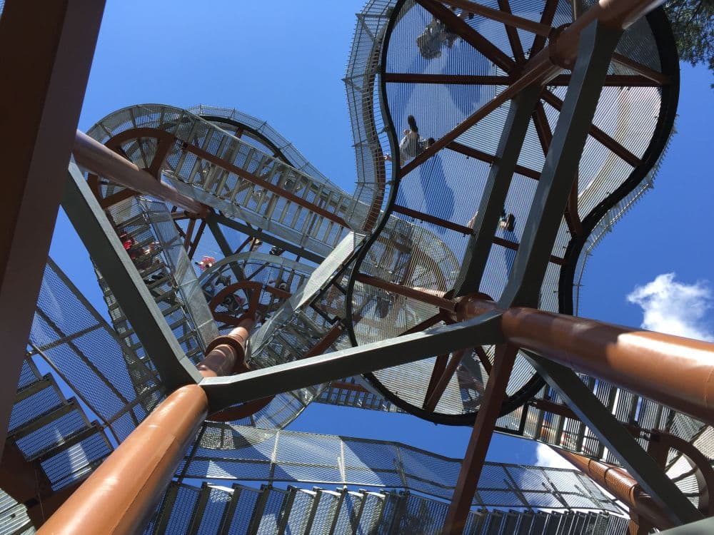 Merkinės apžvalgos bokštas #2