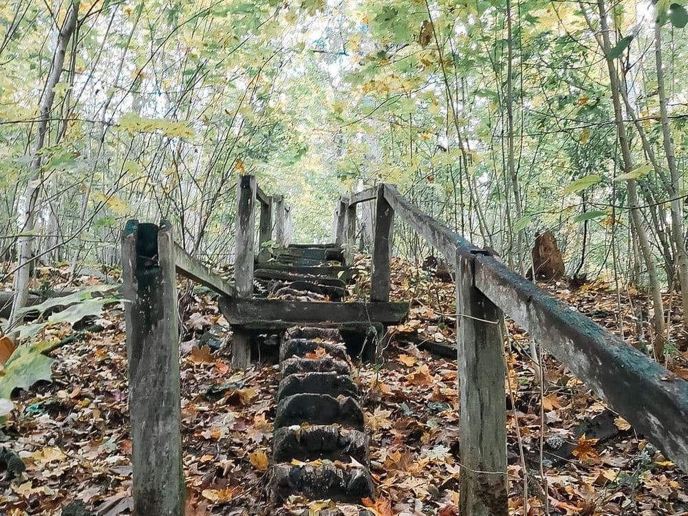 Gelgaudiškio pažintinis takas #3