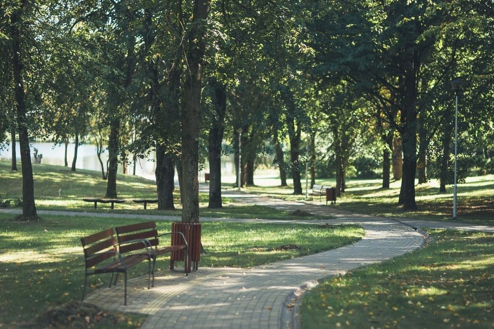 Molėtų skulptūrų parkas #5