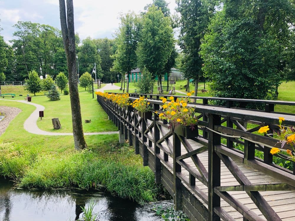 Viešvilės žuvitakis #2