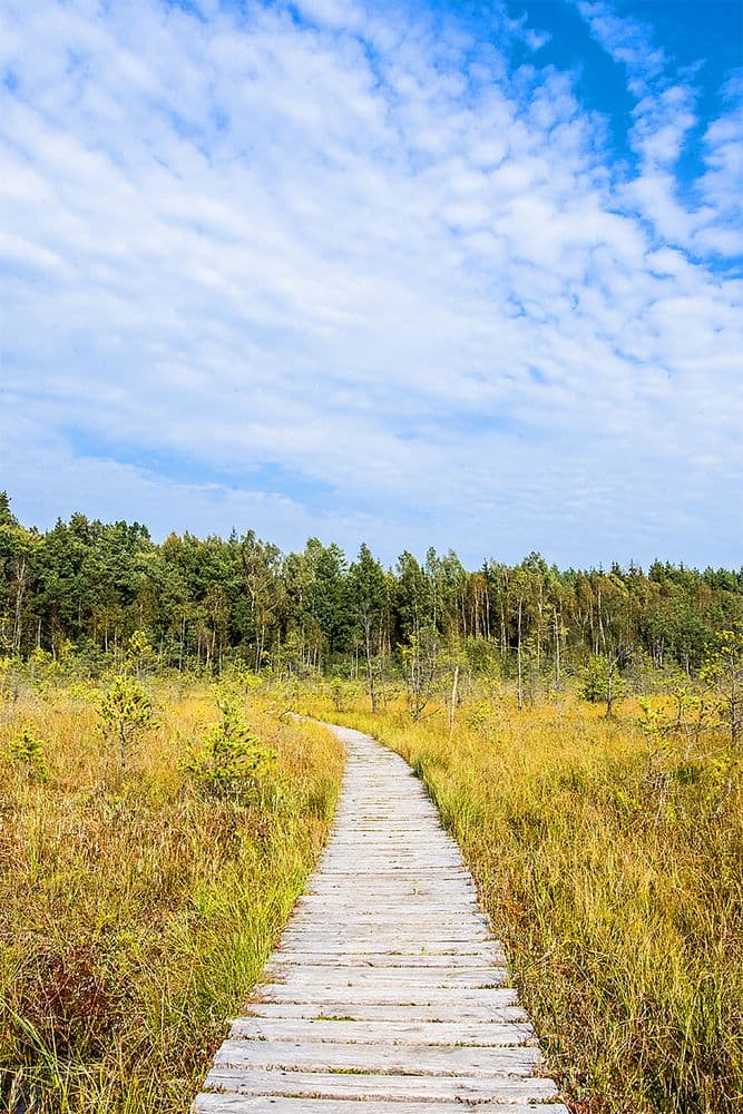 Varnikų pažintinis takas #2